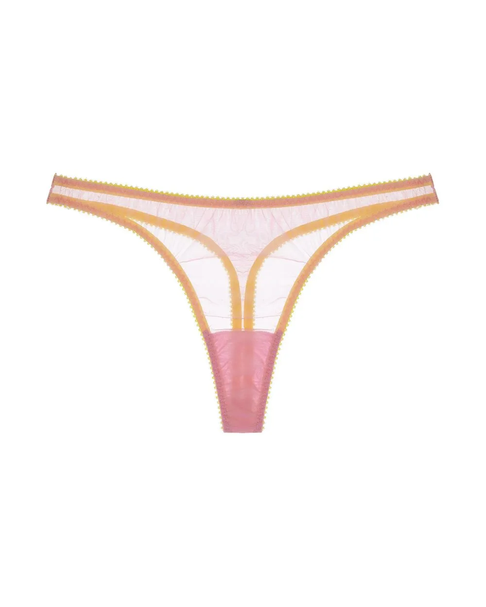 Abbie Thong