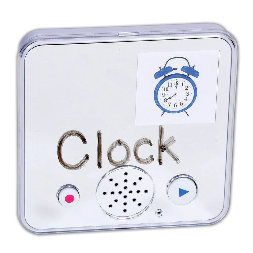 Recordable Sound Bank Mirror | 30-Second Playback & Dry Erasable Cover